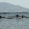 Pesca artesanal do camarão no Complexo Lagunar Sul é regulamentada