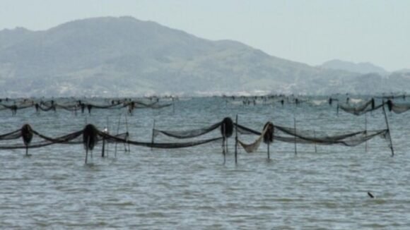 Pesca artesanal do camarão no Complexo Lagunar Sul é regulamentada