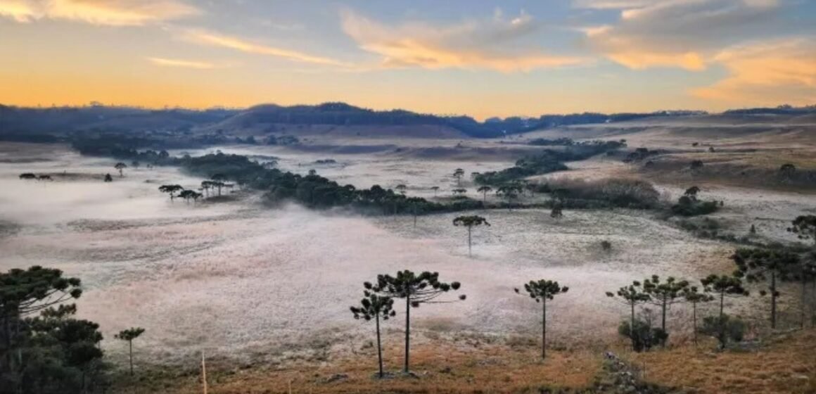 As manhãs congeladas da Serra: quando a geada transforma a paisagem em Bom Jardim, São Joaquim e Urubici As manhãs congeladas da Serra: quando a geada transforma a paisagem em Bom Jardim, São Joaquim e Urubici