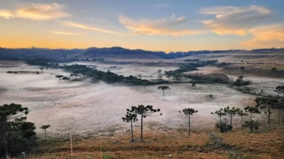 As manhãs congeladas da Serra: quando a geada transforma a paisagem em Bom Jardim, São Joaquim e Urubici