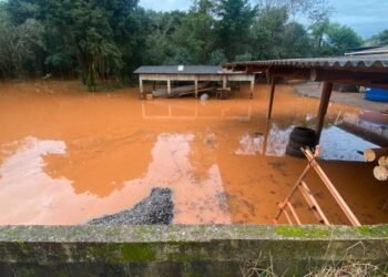 Foto: Luciano Peri/ Secom/ Divulgação/ UNITVSC