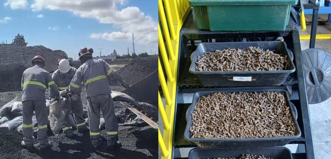 Diamante Energia avança em pesquisa para produzir carvão híbrido com casca de coco Diamante Energia avança em pesquisa para produzir carvão híbrido com casca de coco