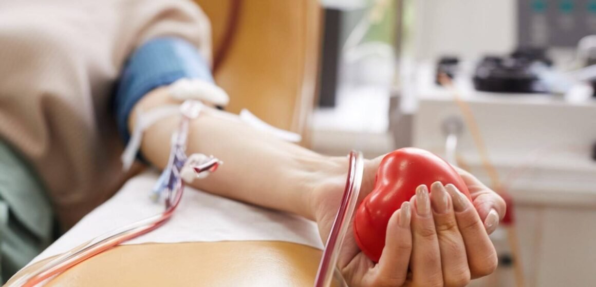 SC começa a adotar novos critérios para doação de sangue; veja o que muda SC começa a adotar novos critérios para doação de sangue; veja o que muda
