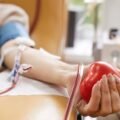 SC começa a adotar novos critérios para doação de sangue; veja o que muda