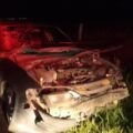 Carro bate em cavalo que estava solto na pista da SC-437, em Imaruí