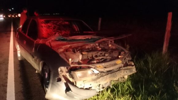 Carro bate em cavalo que estava solto na pista da SC-437, em Imaruí